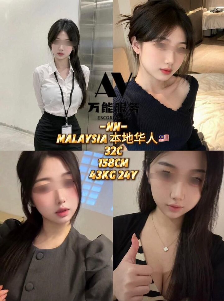 白沙罗万能服务 本地站002.jpg