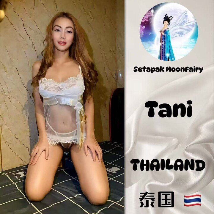 Stp MoonFairy001.jpg