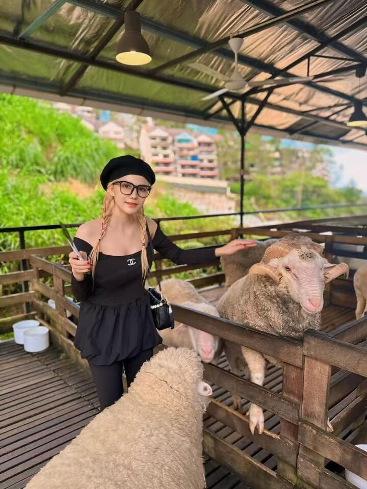 蕉赖住家QQ 004.jpg